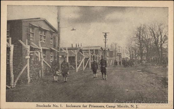 image 14